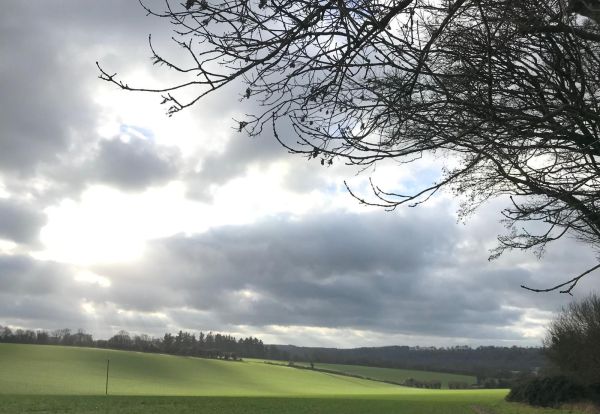 Our green and pleasant land